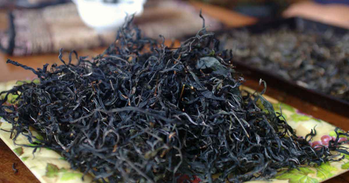 Фиолетовый пуэр